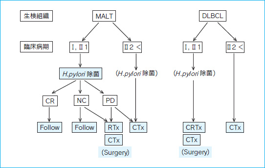 図1　胃 MALT リンパ腫および胃 DLBCL の治療の流れ